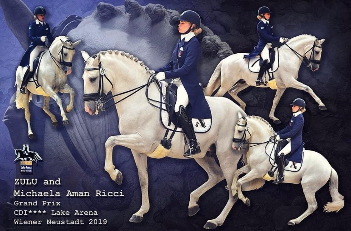 Equestrian rider performing dressage with a white horse at a competition, with artistic overlay effects.