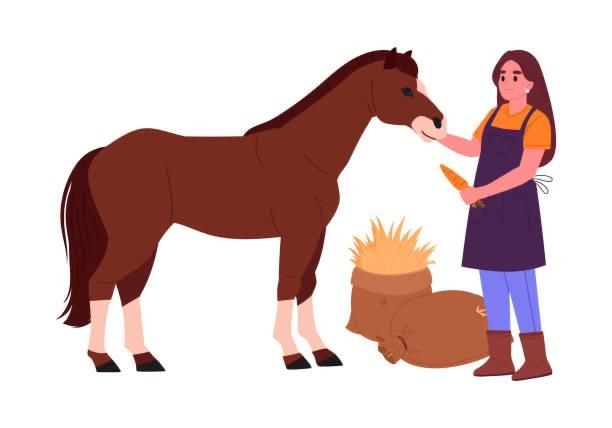 Illustration of a person feeding a brown horse a carrot next to a sack of hay.