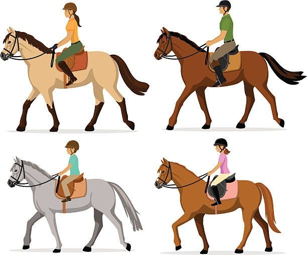 Illustration of four people riding horses, each in different equestrian attire on various horse breeds.