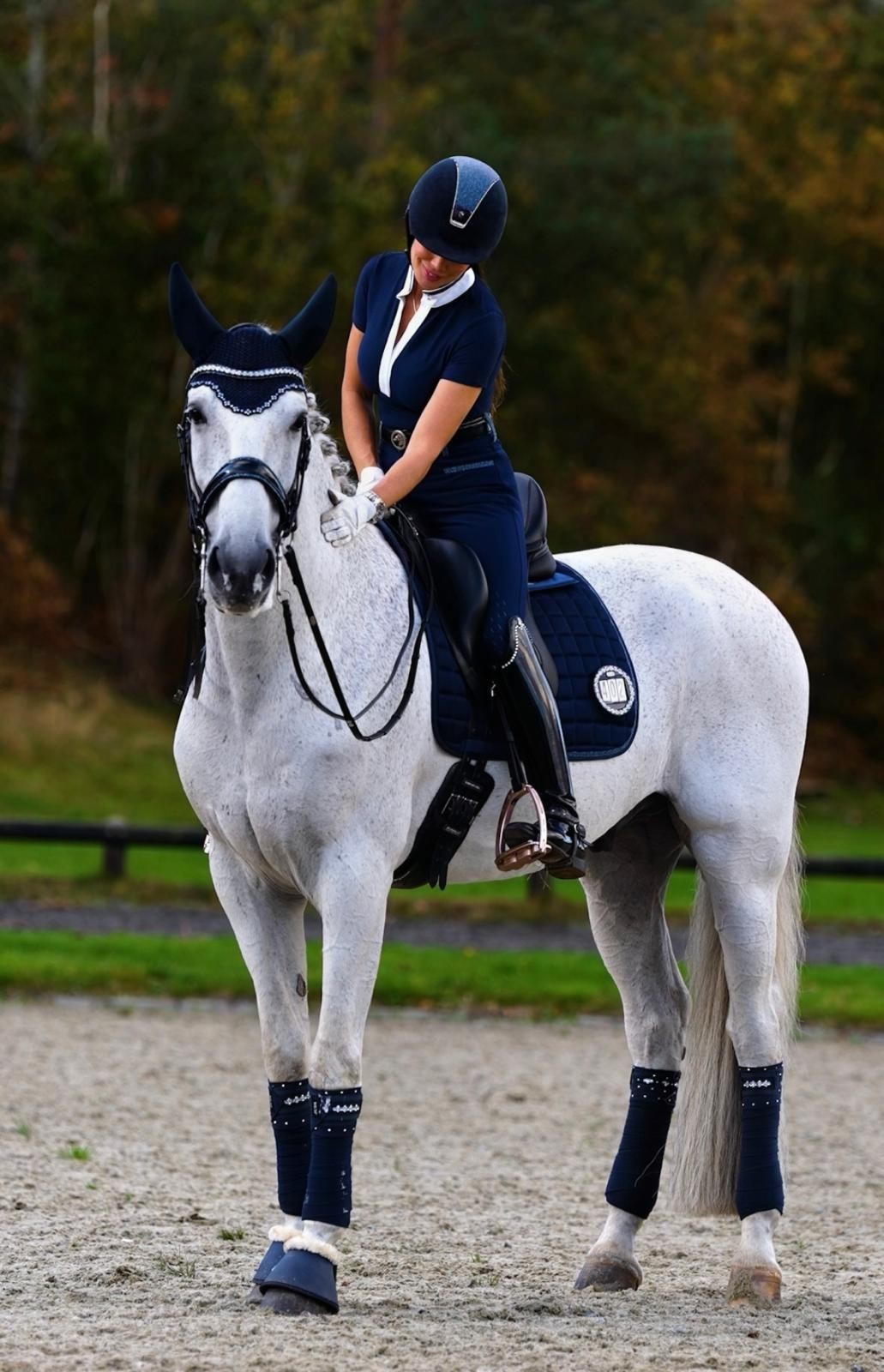 Equestrian dressed in navy riding a white horse in an outdoor arena.